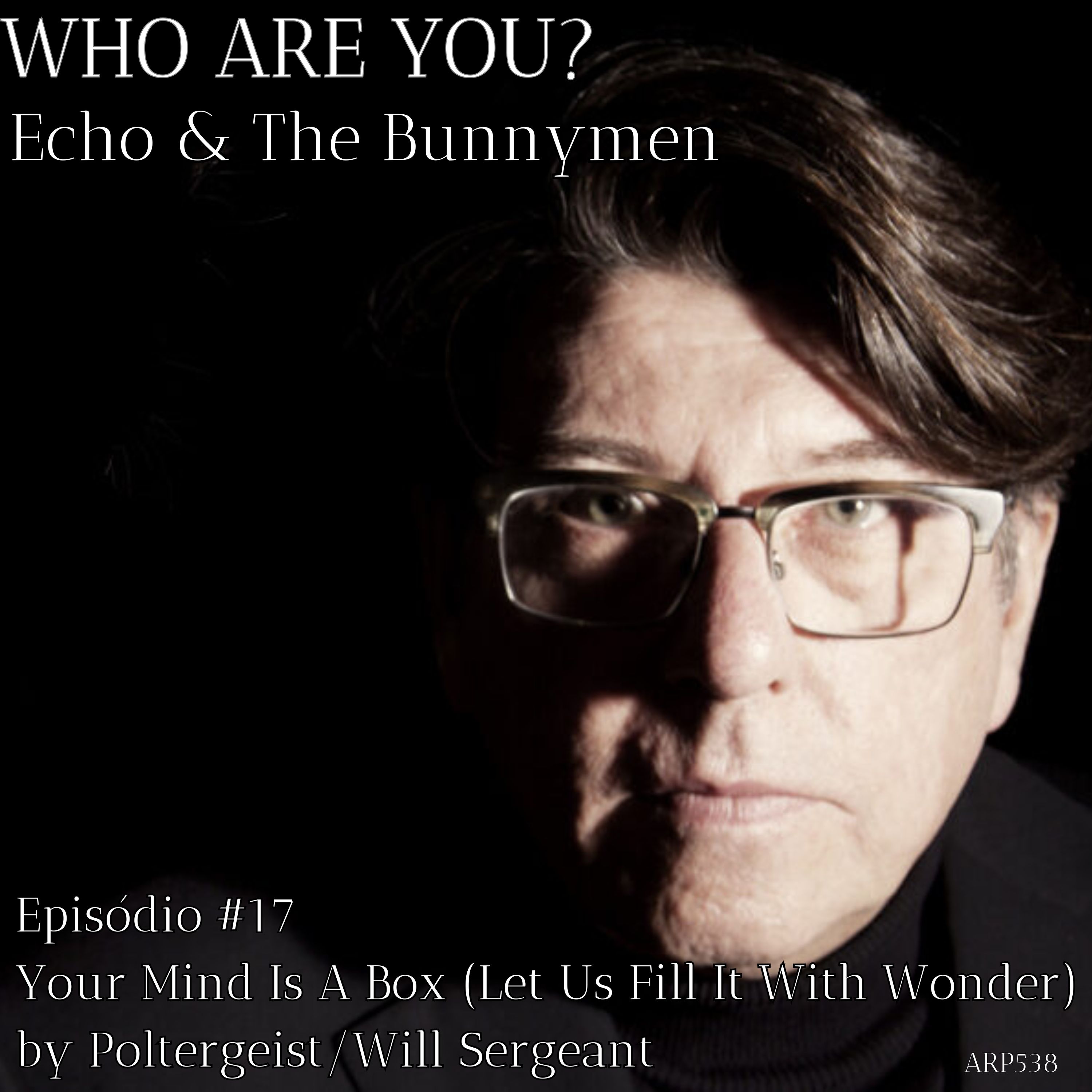 Who Are You? Echo and The Bunnymen #17 - Poltergeist - Your Mind Is A Box Let Us Fill It With Wonder